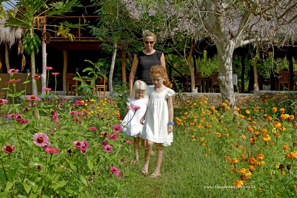 The Yala Adventure Hotel Tissamaharama Ngoại thất bức ảnh