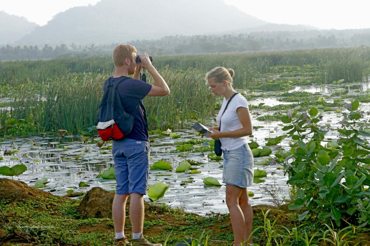 The Yala Adventure Hotel Tissamaharama Ngoại thất bức ảnh
