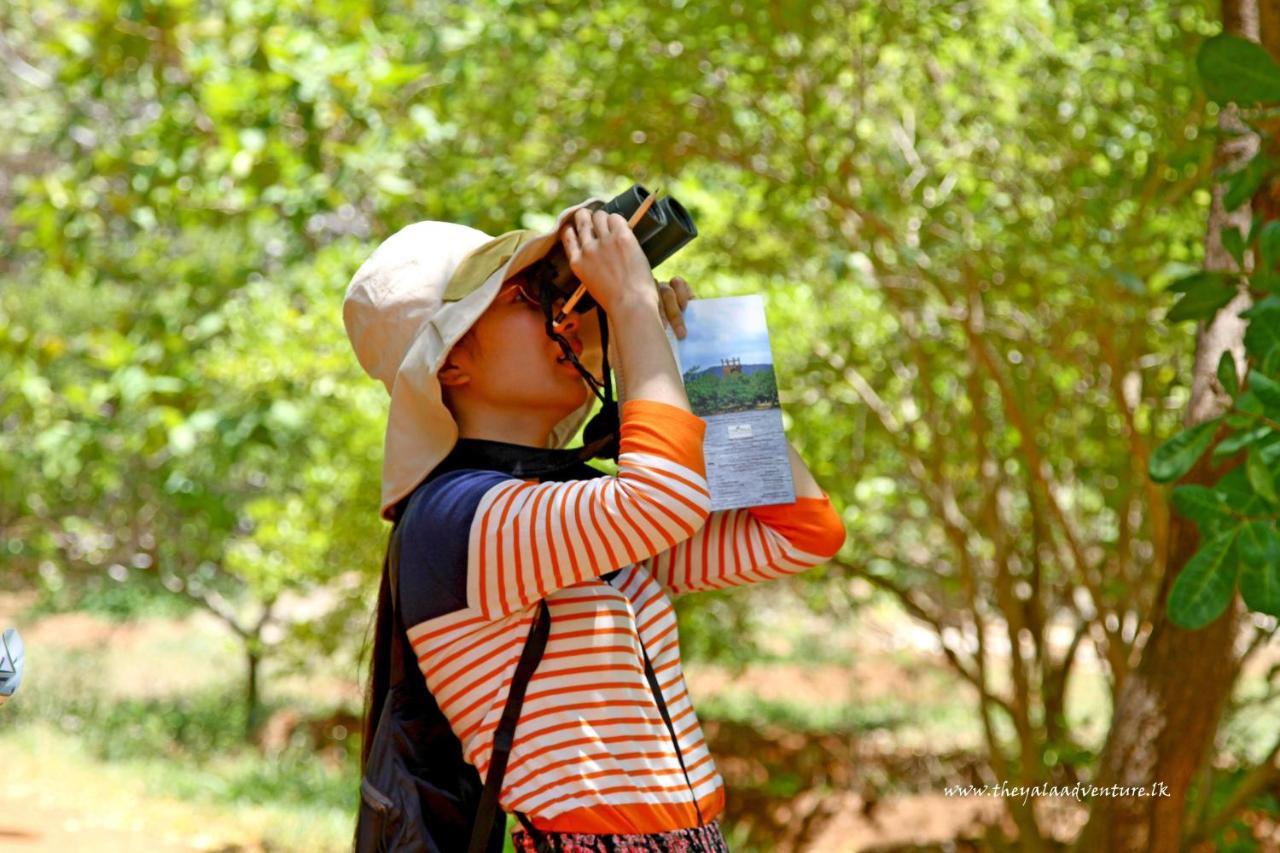 The Yala Adventure Hotel Tissamaharama Ngoại thất bức ảnh