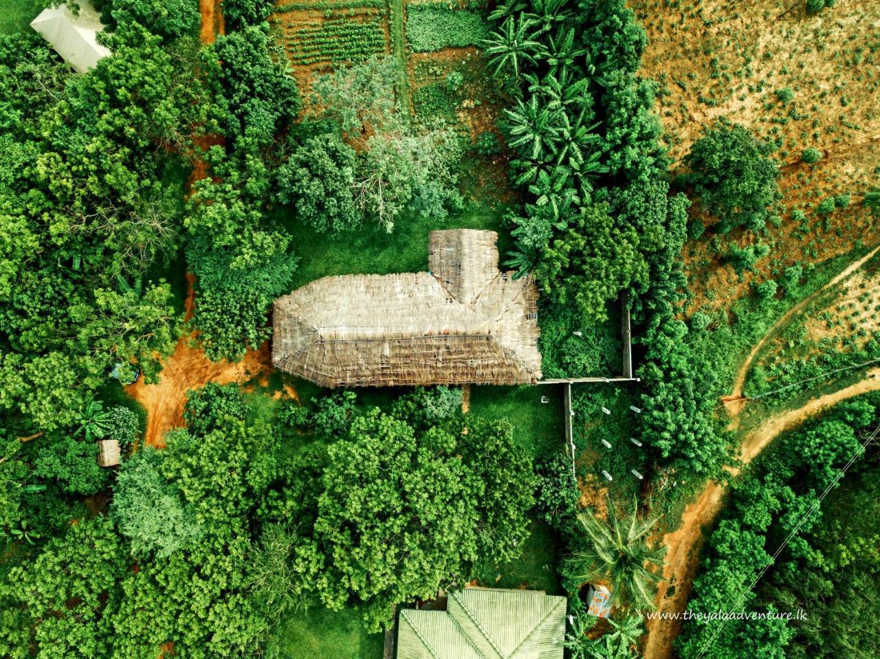 The Yala Adventure Hotel Tissamaharama Ngoại thất bức ảnh