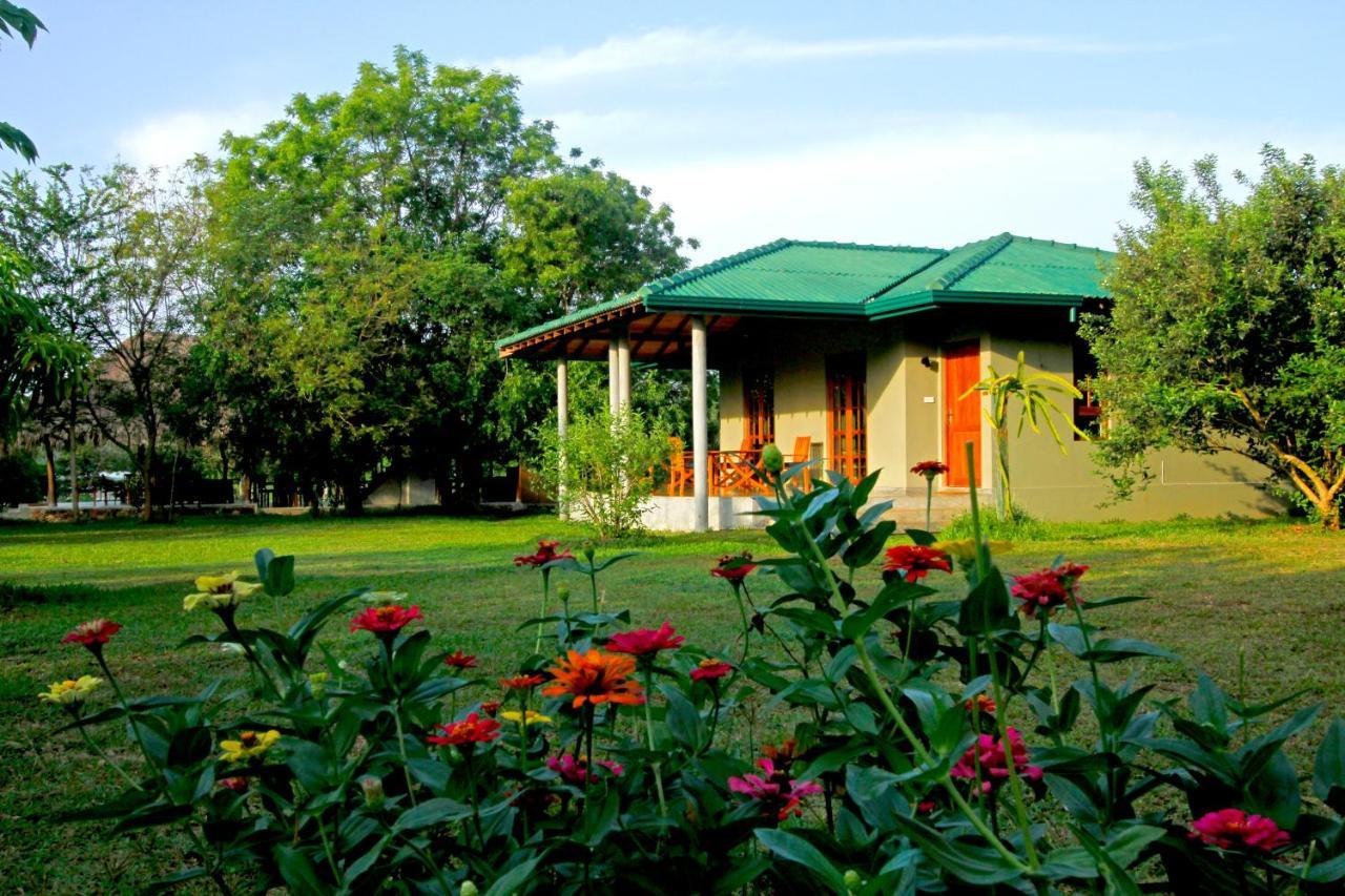 The Yala Adventure Hotel Tissamaharama Ngoại thất bức ảnh