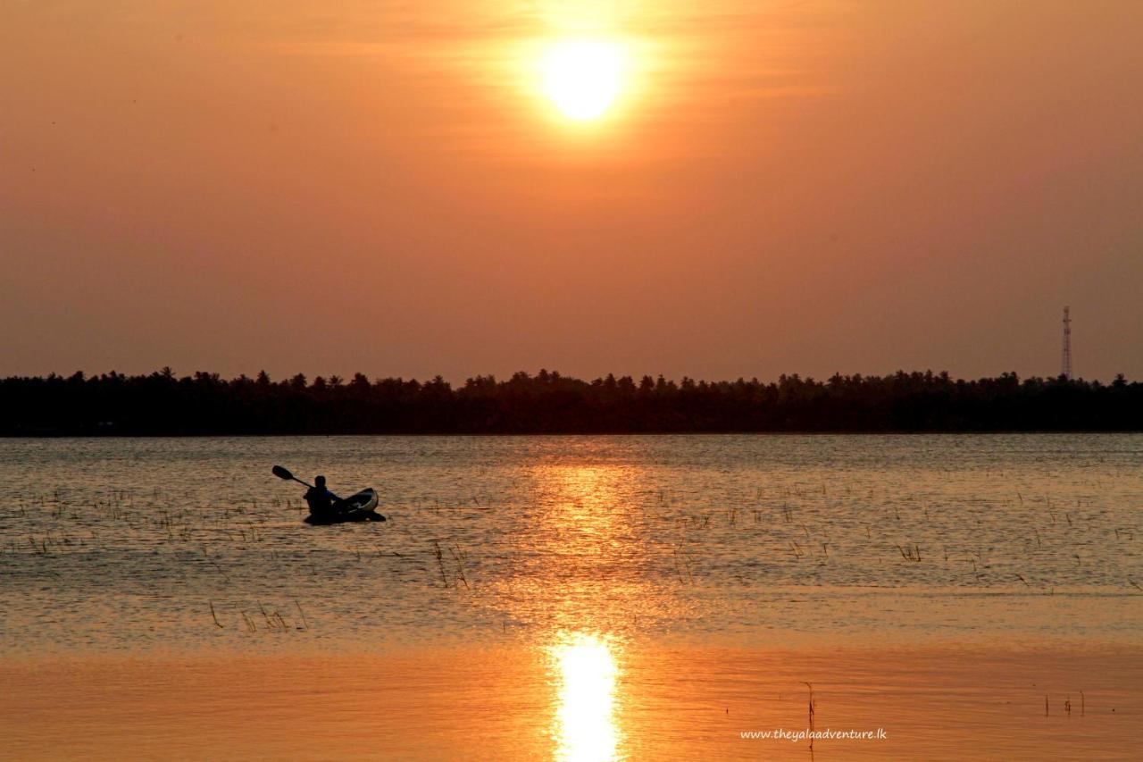 The Yala Adventure Hotel Tissamaharama Ngoại thất bức ảnh