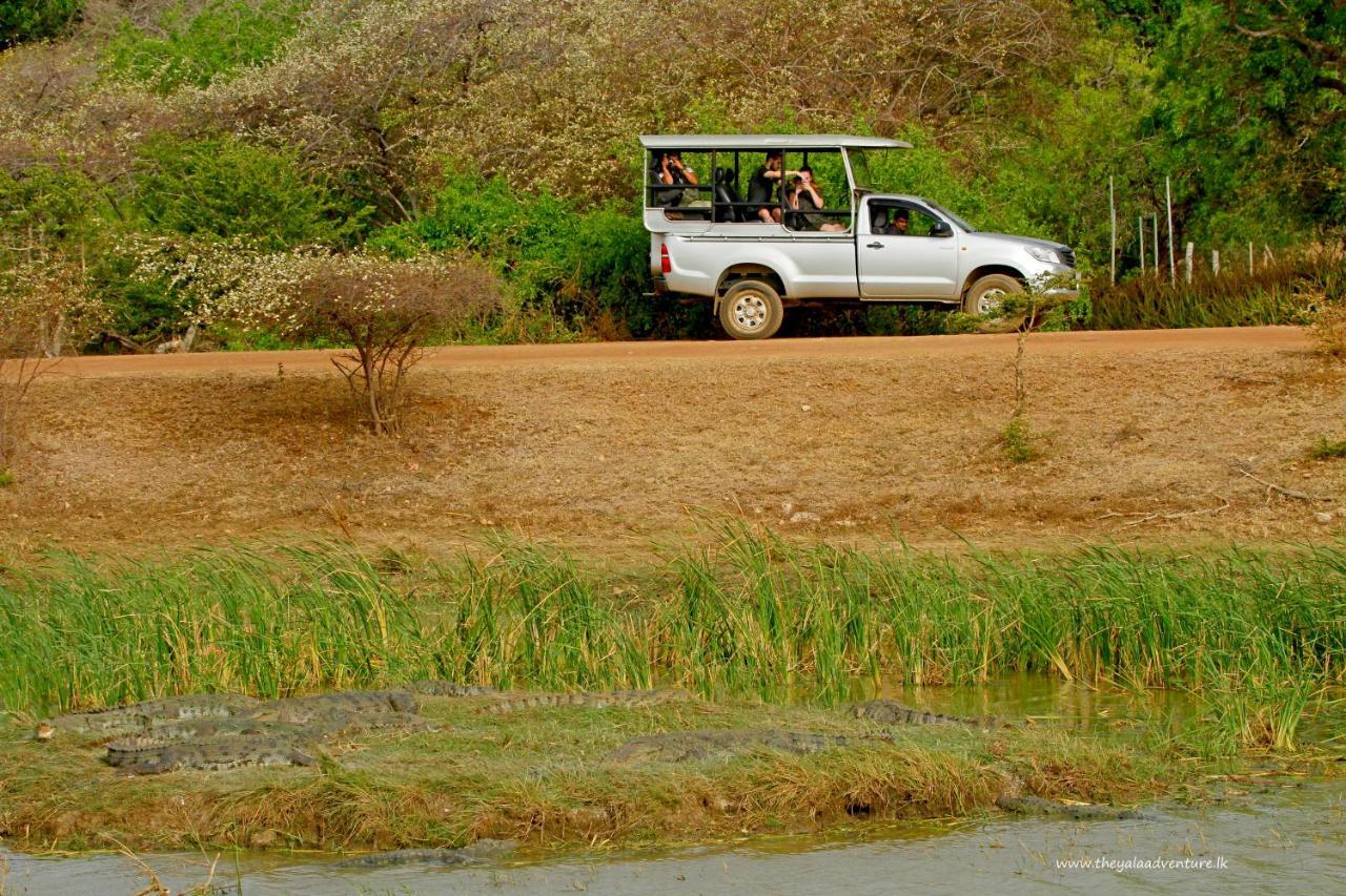The Yala Adventure Hotel Tissamaharama Ngoại thất bức ảnh